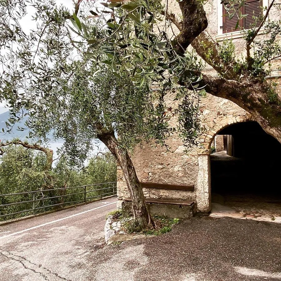 Appartamento Anna Brenzone sul Garda Italien