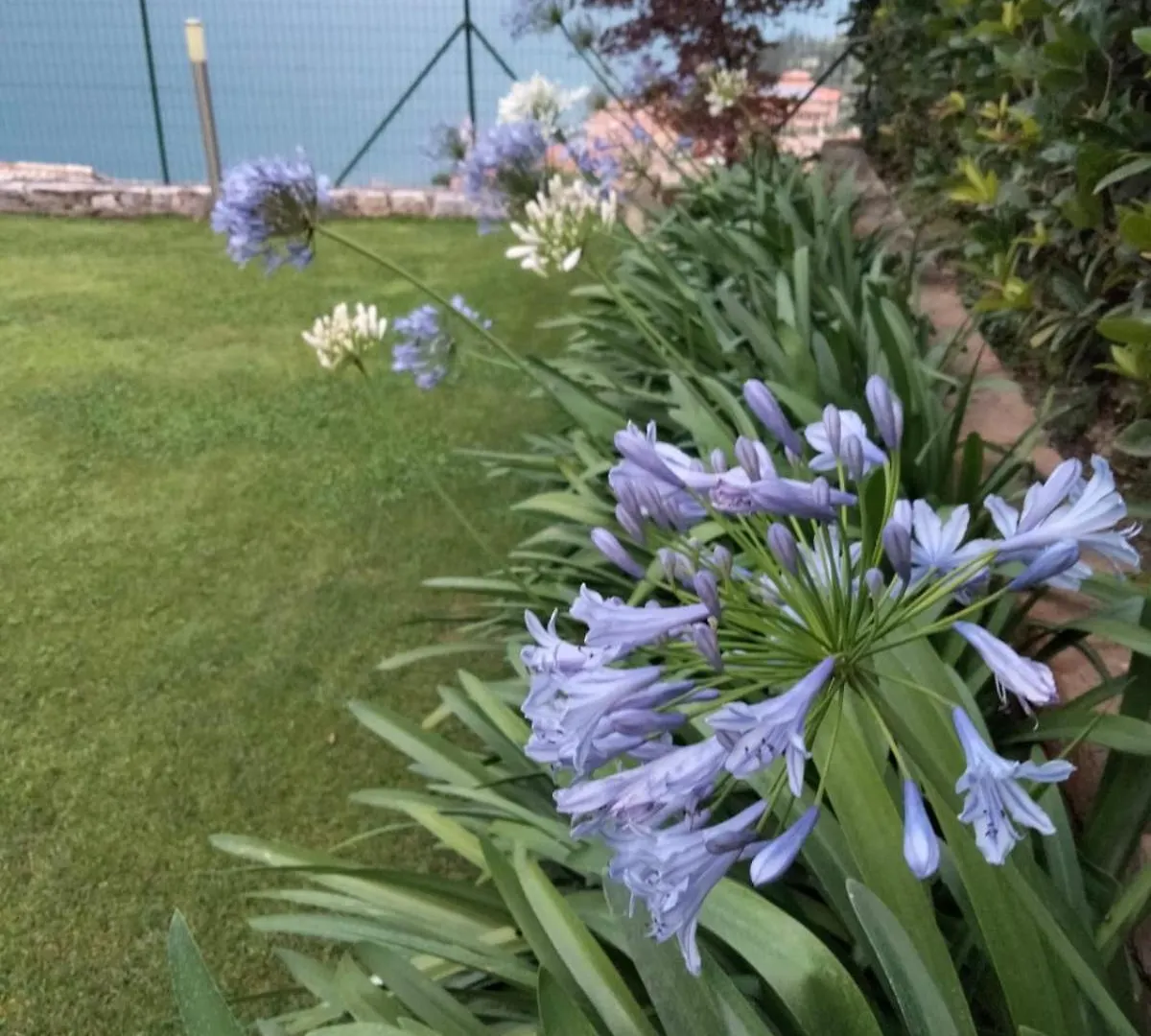 Appartamento Anna Brenzone sul Garda Ferienhaus