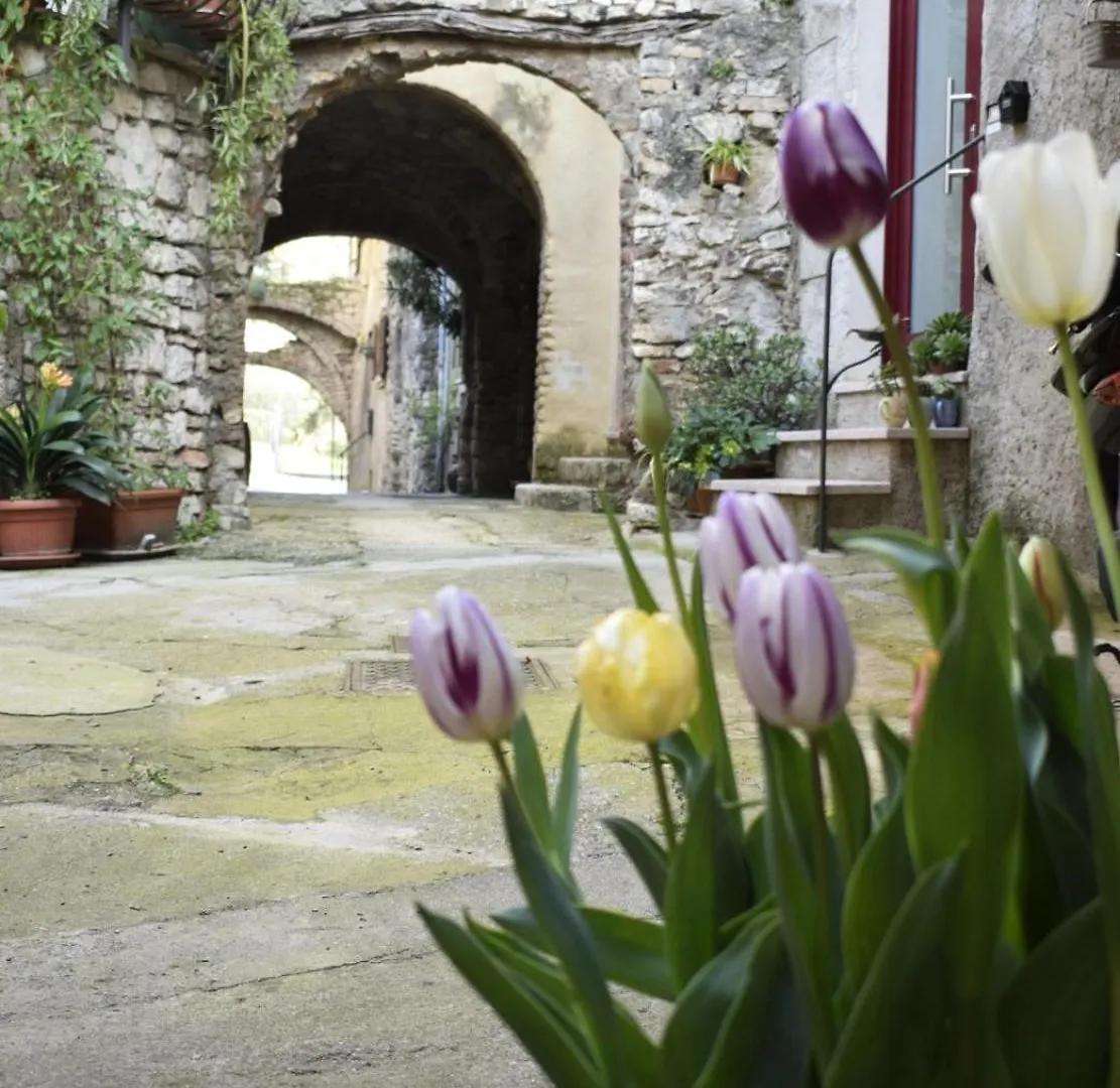 Appartamento Anna Brenzone sul Garda